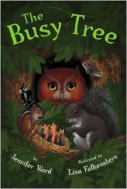 The Busy Tree by Jennifer Ward